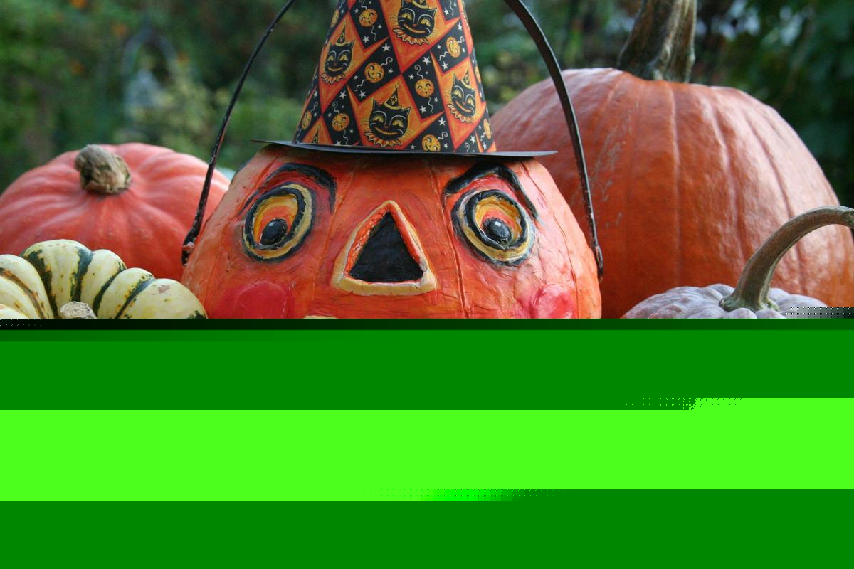 Where To Trunk-or-Treat In Central New York October 2025