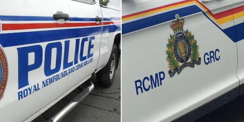 RCMP Arrest Driver Wanted by RNC After His Car Leaves the Road and Crashes