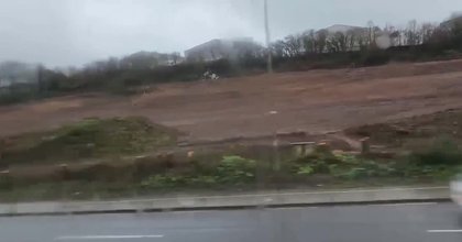 Watch: Hundreds of trees felled as work to begin on new homes along busy Cork commuter road