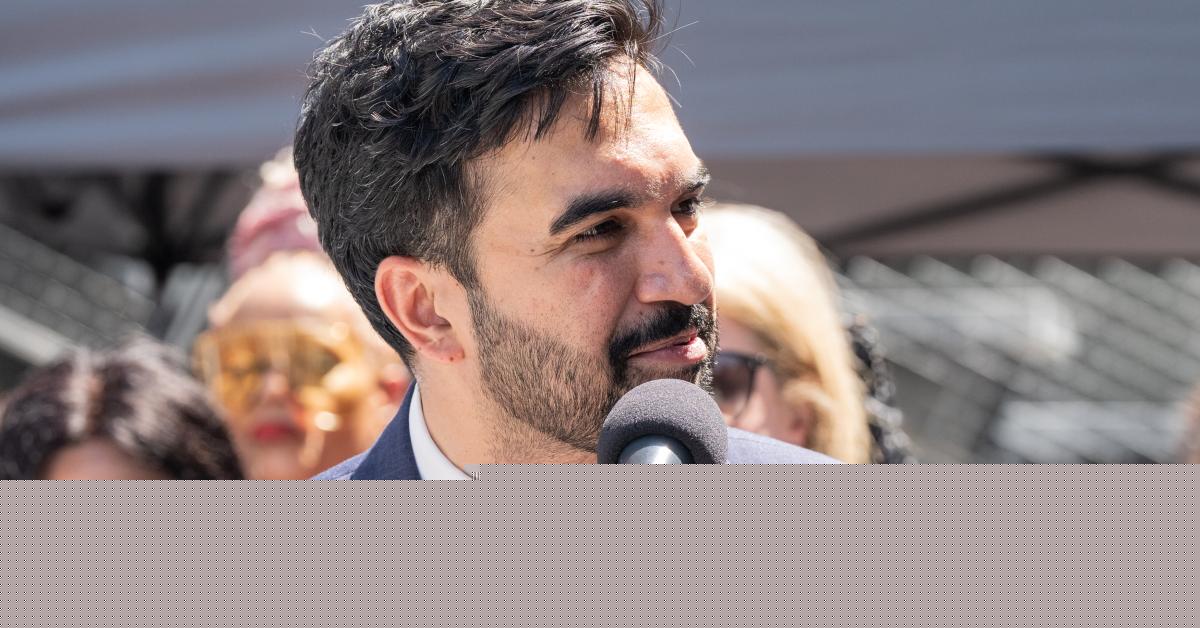 Defunding police and prisons: Radical DSA platform grabs spotlight as candidates surge in primaries