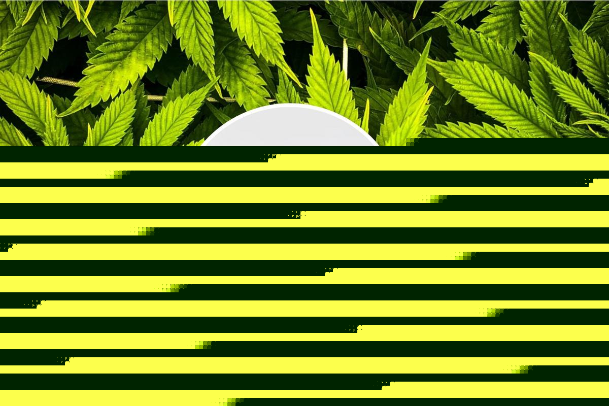 Texas THC Laws Weaponize Reefer Madness