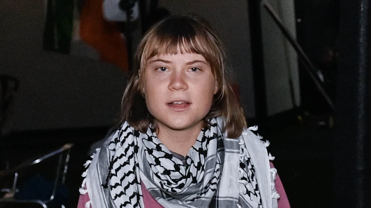 Greta Thunberg wears balaclava disguise to Kneecap and Bob Vylan concert