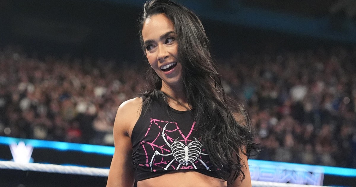 AJ Lee Hopes WWE Avoids Breaking Up This Tag Team Duo
