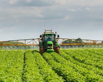Food sector calls for transition period if UK and EU agree post-Brexit rules reset