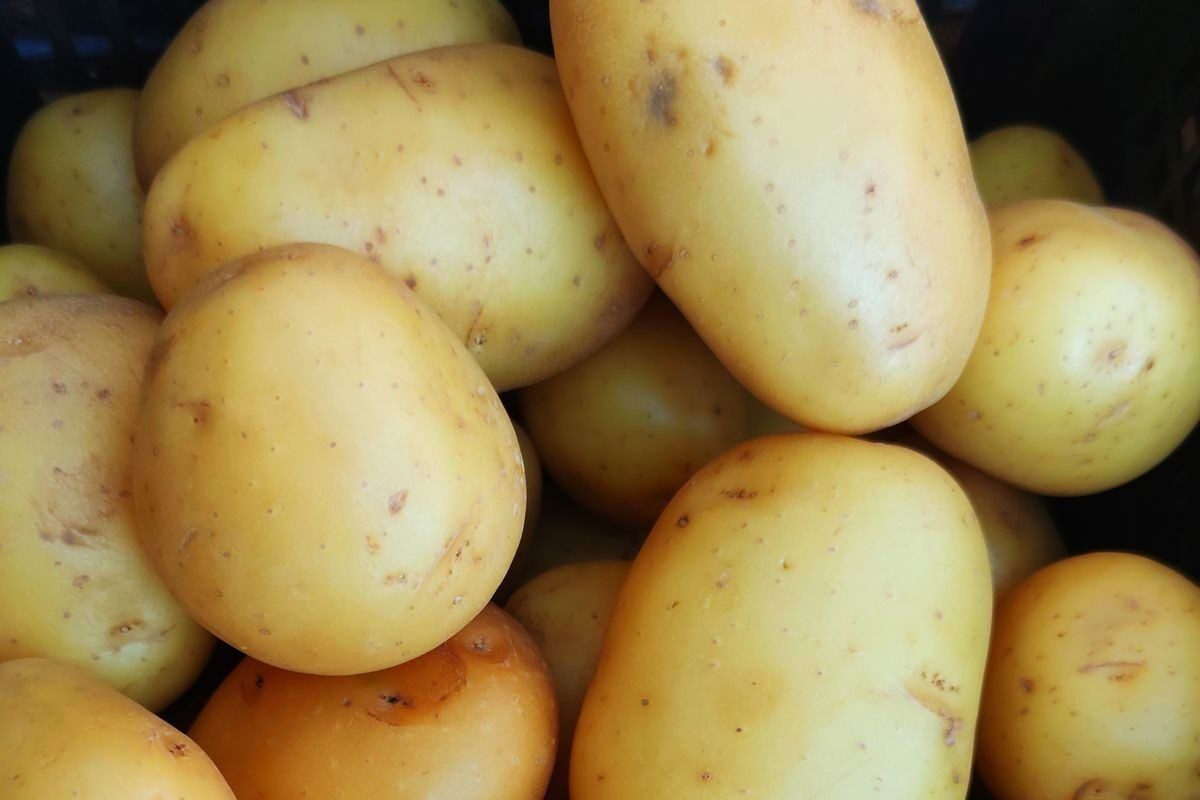 Here’s where SASSA grant recipients can find the cheapest potatoes