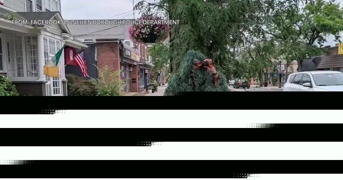 A New Jersey police officer disguised himself as a bush. It led to 74 distracted-driving tickets