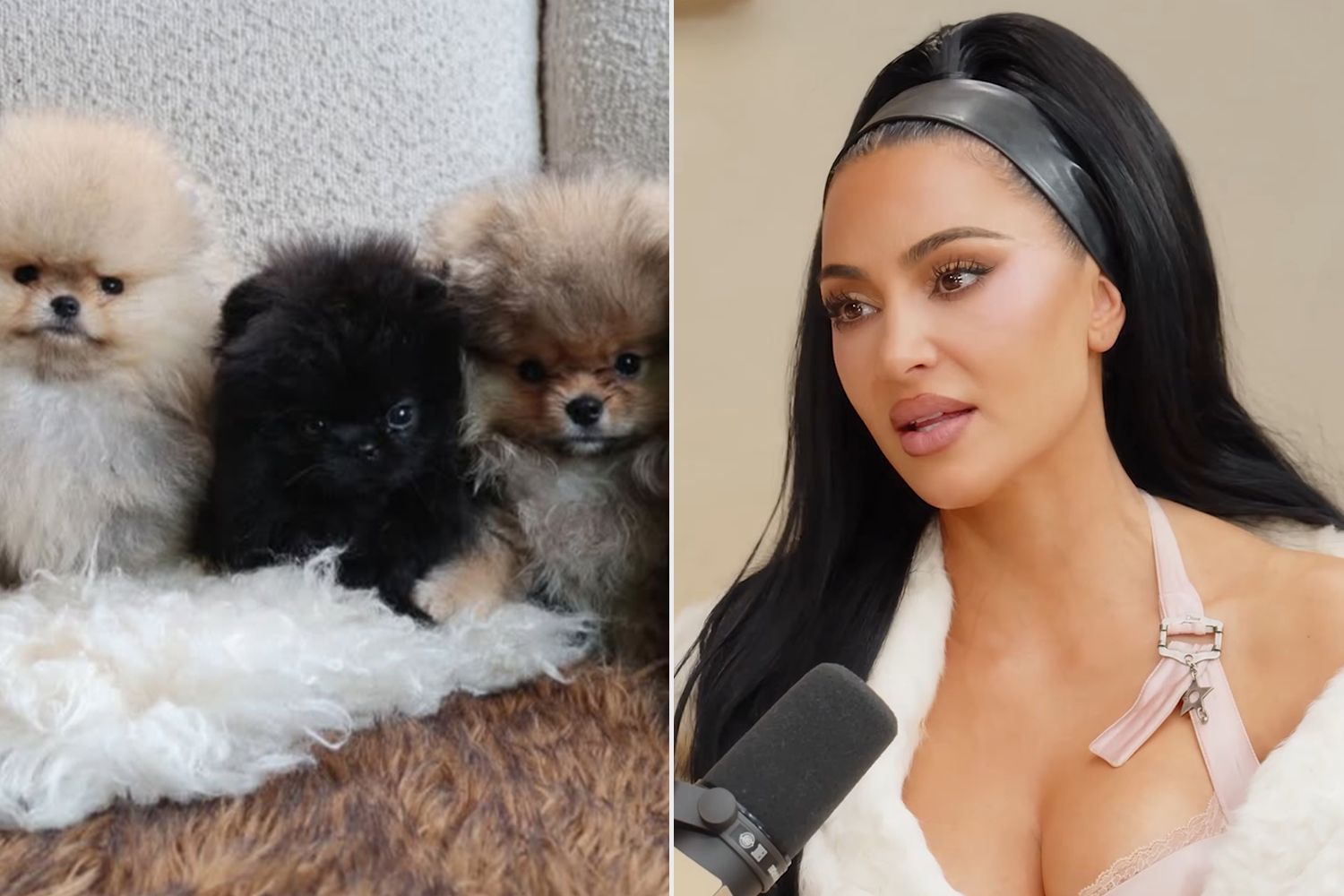 Kim Kardashian Reveals How the Controversial Puppies She Gifted Her Kids for Christmas Have Changed Her Family
