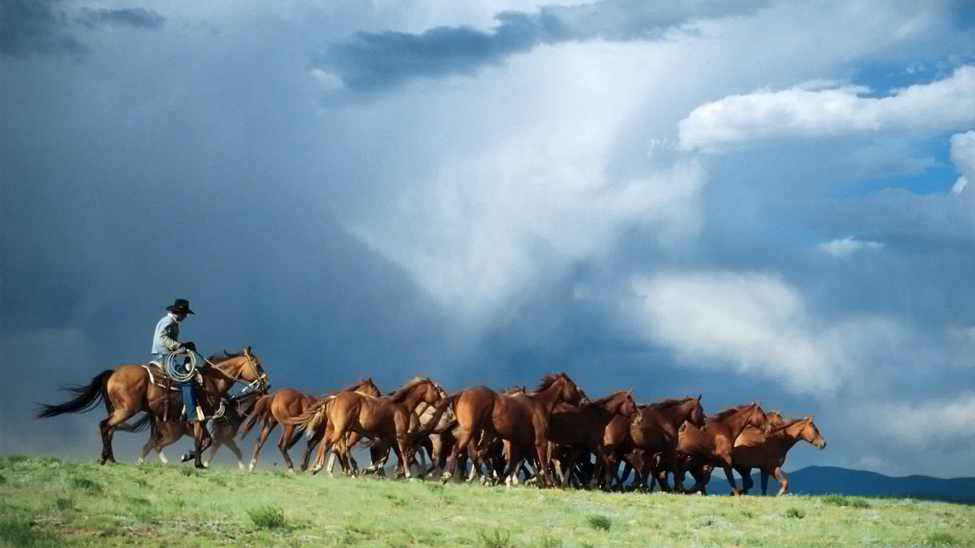 How to Buy a Ranch: The Financial Returns and the Reality Check
