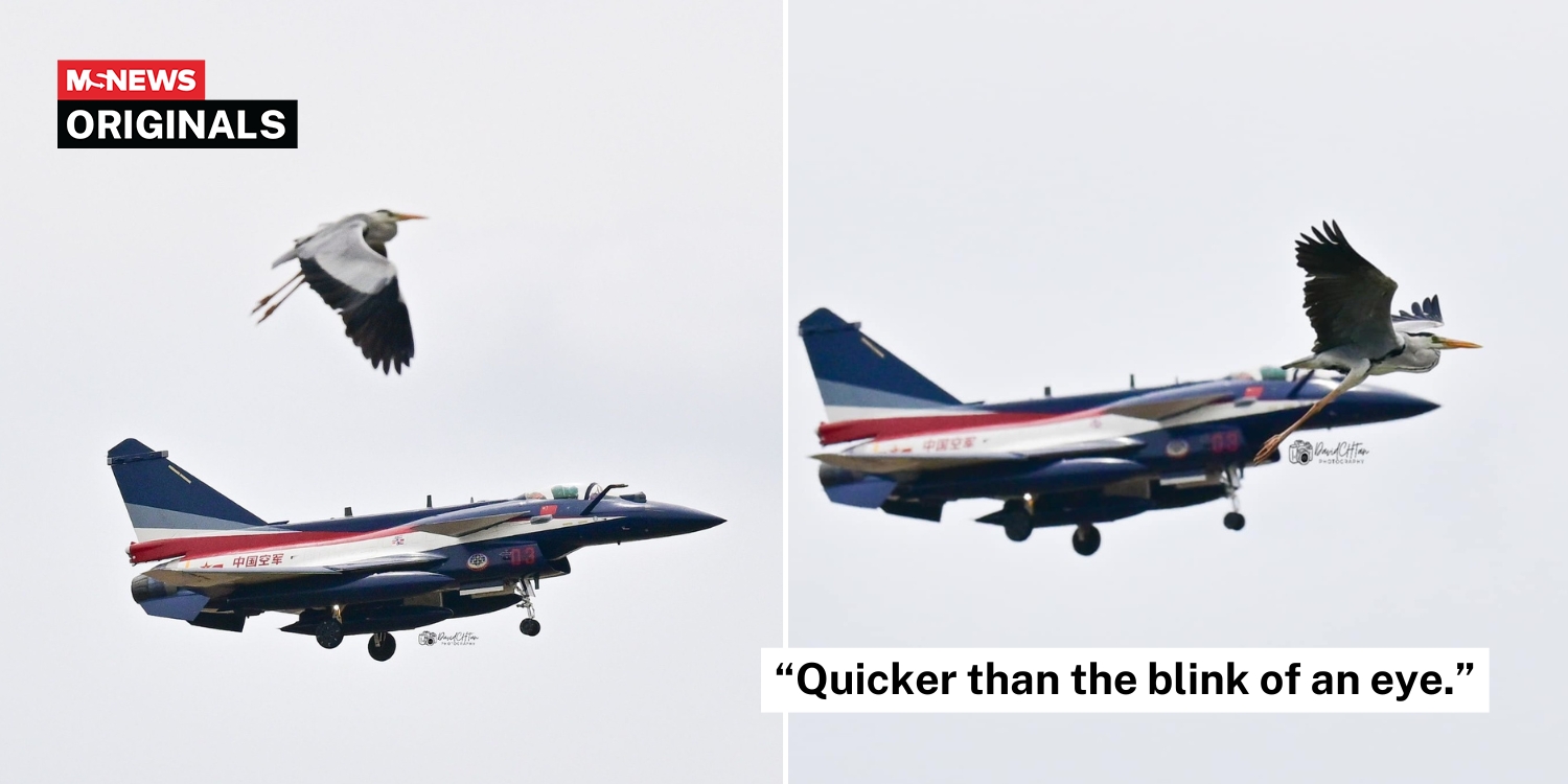 S’pore photographer captures incredible shot of heron flying alongside Chinese fighter jet at Changi