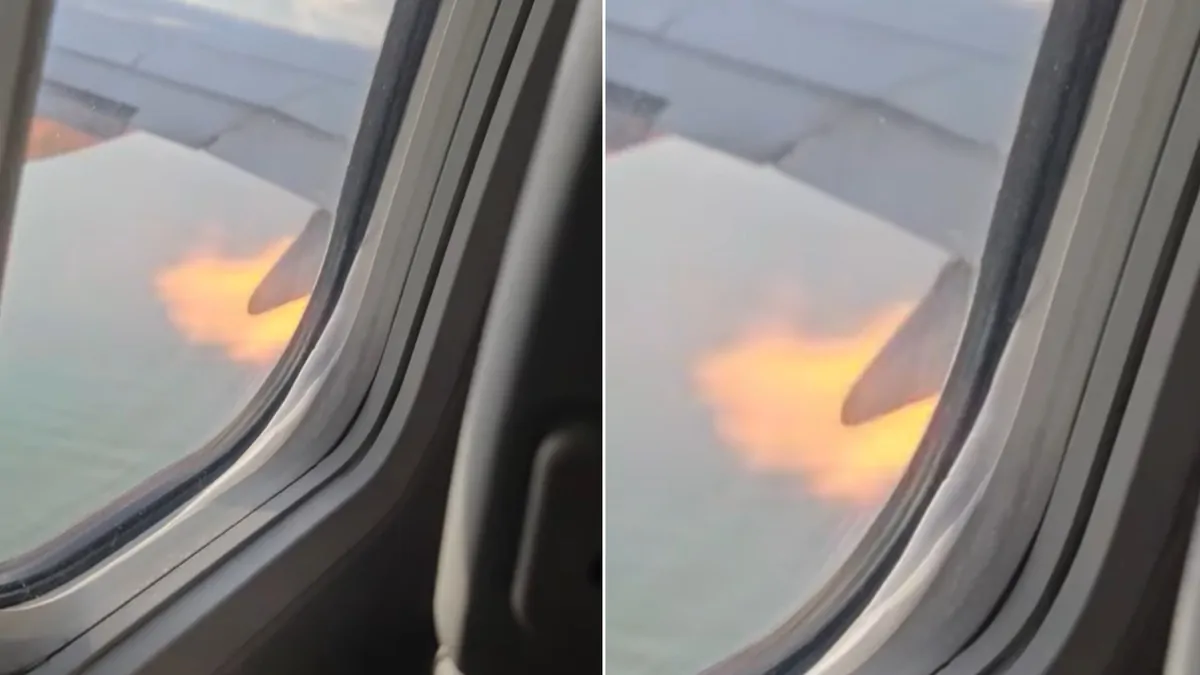 American Airlines flight strikes birds as flames shoot from engine after take-off in South Carolina