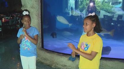 Two Houston sisters looking for family to adopt them | Finding Families