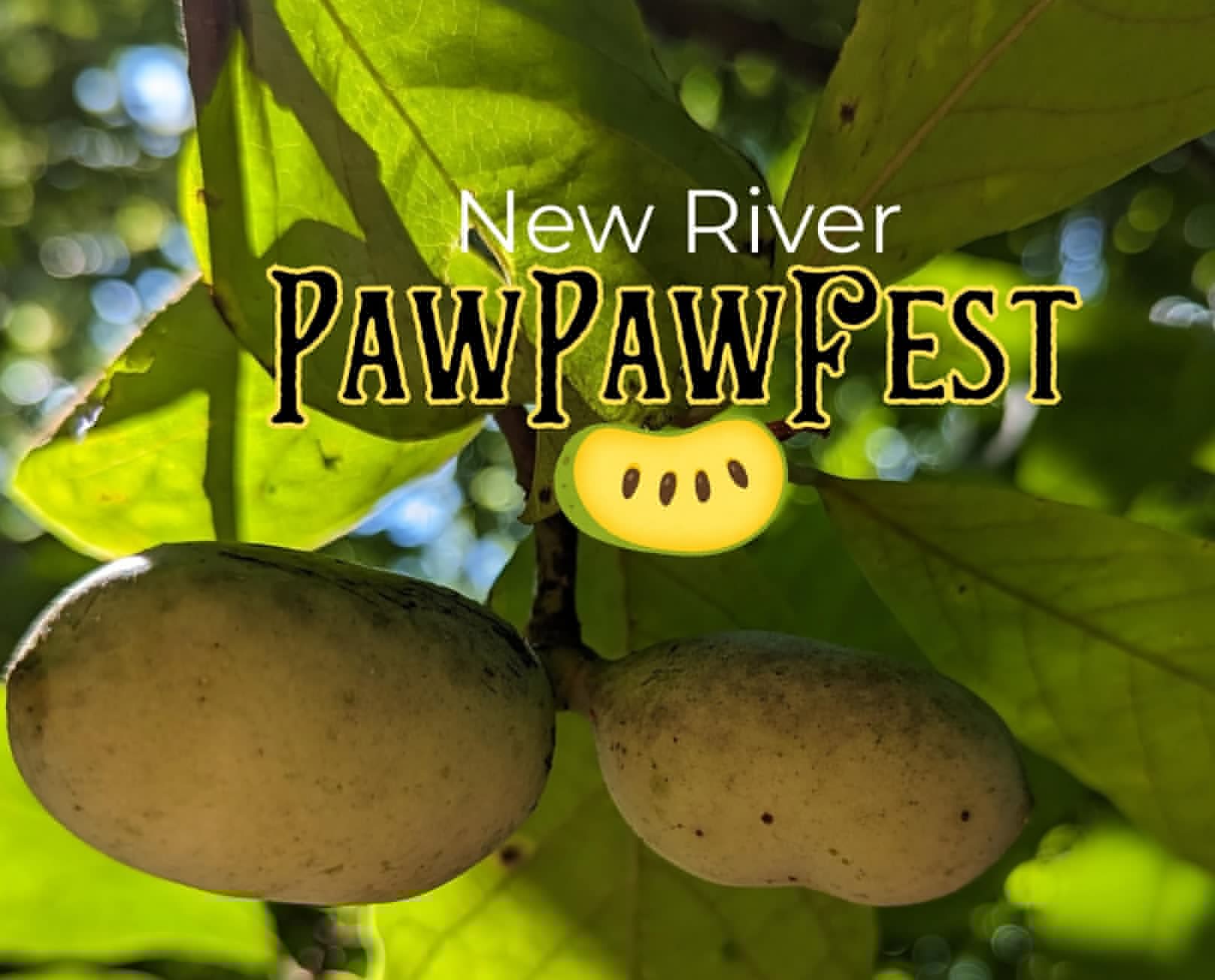 Paw Paw Fest returns to  the New River Valley in September
