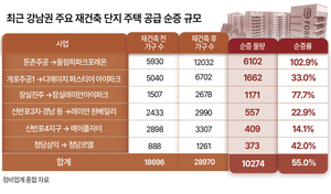 재건축으로 5년간 강남 1만 가구 늘었다