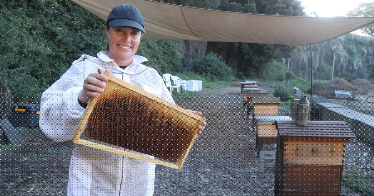 The secret life of pollinators: This beekeeper is teaching kids where their food really comes from