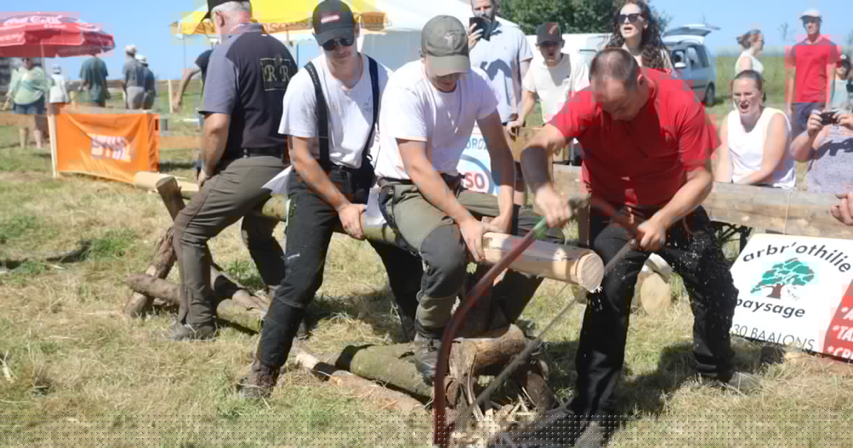 Vresse-sur-Semois: gros bras et fines lames au concours de bûcheronnage, ce dimanche