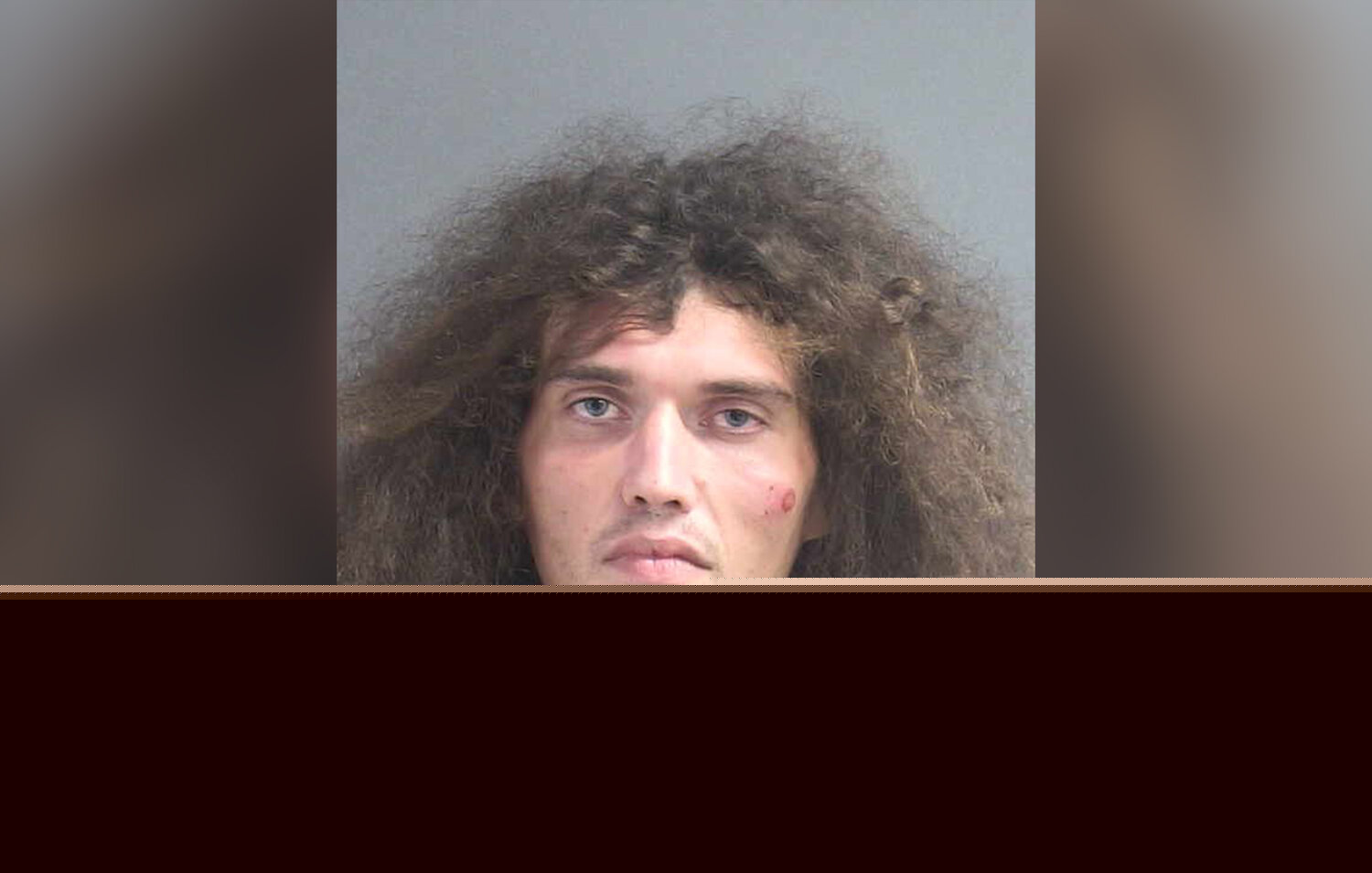 Seville Man Arrested After Armed Standoff