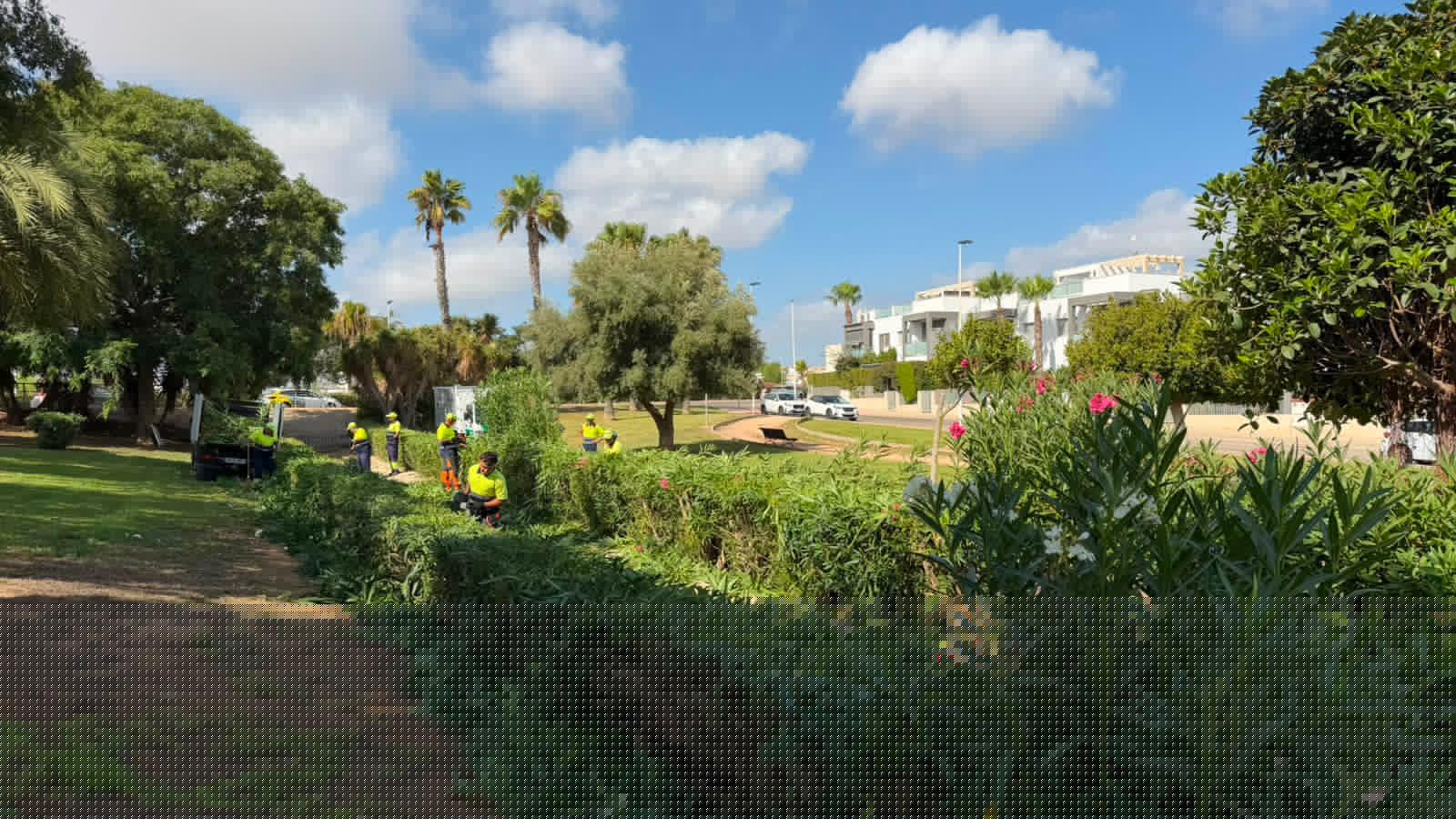 Torrevieja Steps Up Maintenance Across Parks and Gardens