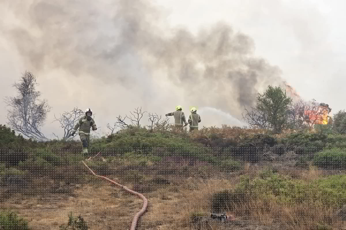 Burnham pledges support for crews tackling ‘very serious’ Suffolk wildfire