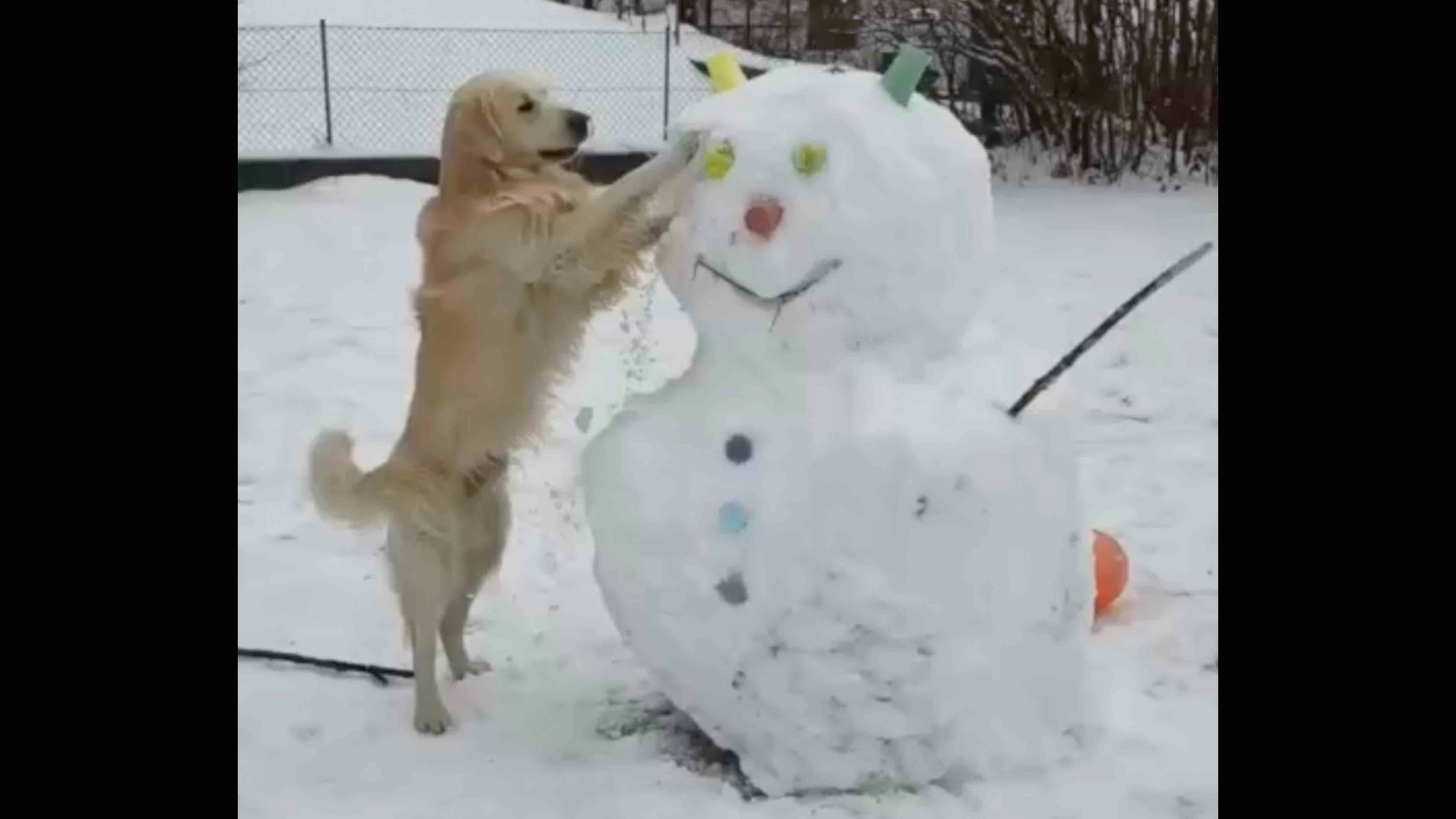 Today In Snow: Thursday, January 29, 2026