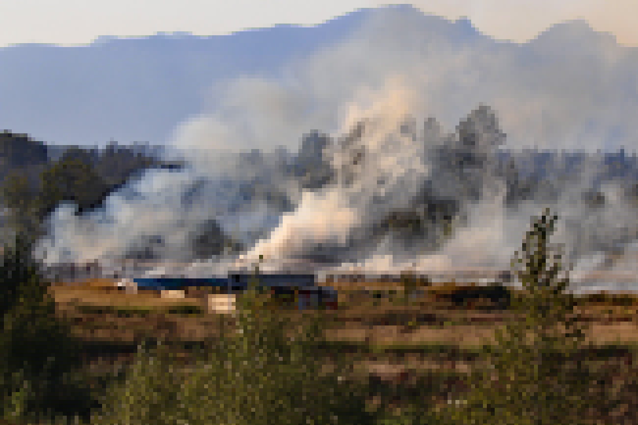 Bush fire breaks out in Surrey on Saturday