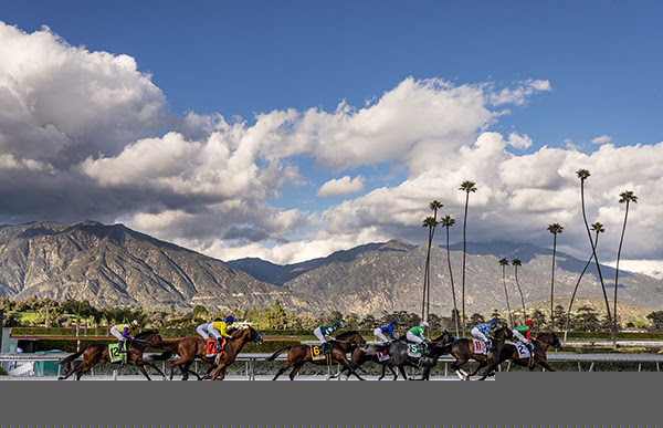 Ready for a Breeders’ Cup “Win and You’re In" Betting Bonanza?