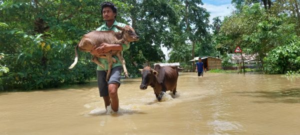 As World Bank Retreats From Climate Targets, India’s Most Vulnerable Could Pay the Price
