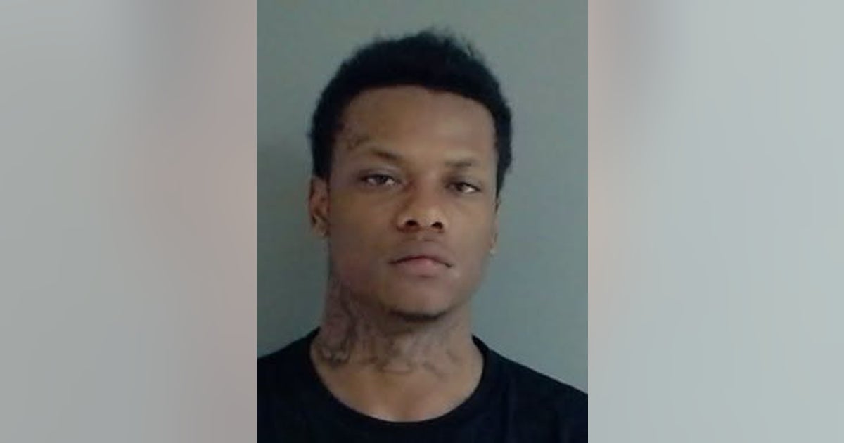 Elk Grove Village man allegedly ran from officers during traffic stop, police recover loaded gun