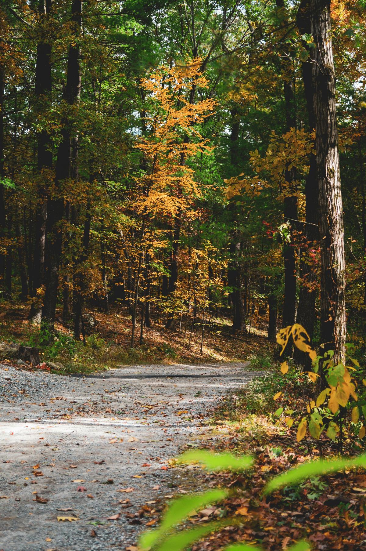 One of the Country's Top Mountain Towns is Located in MA