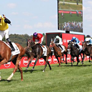 Owners Weekly Briefing: Gestüt Fährhof and more
