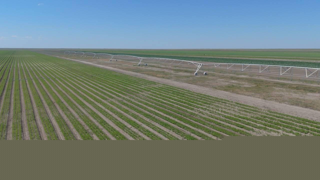 Kazakhstan invests returned assets in Aktobe water security project