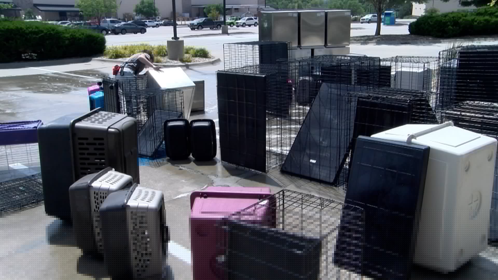 Capital Humane Society temporarily closes Adoption Center due to HVAC issues