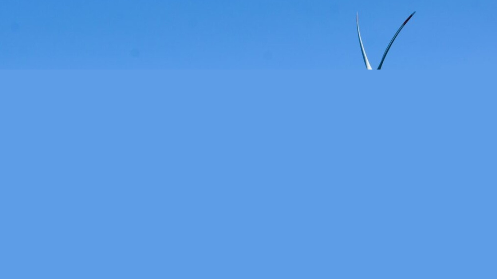 France's New Floating Wind Farm Just Went Live, And It's Not Just Generating Energy