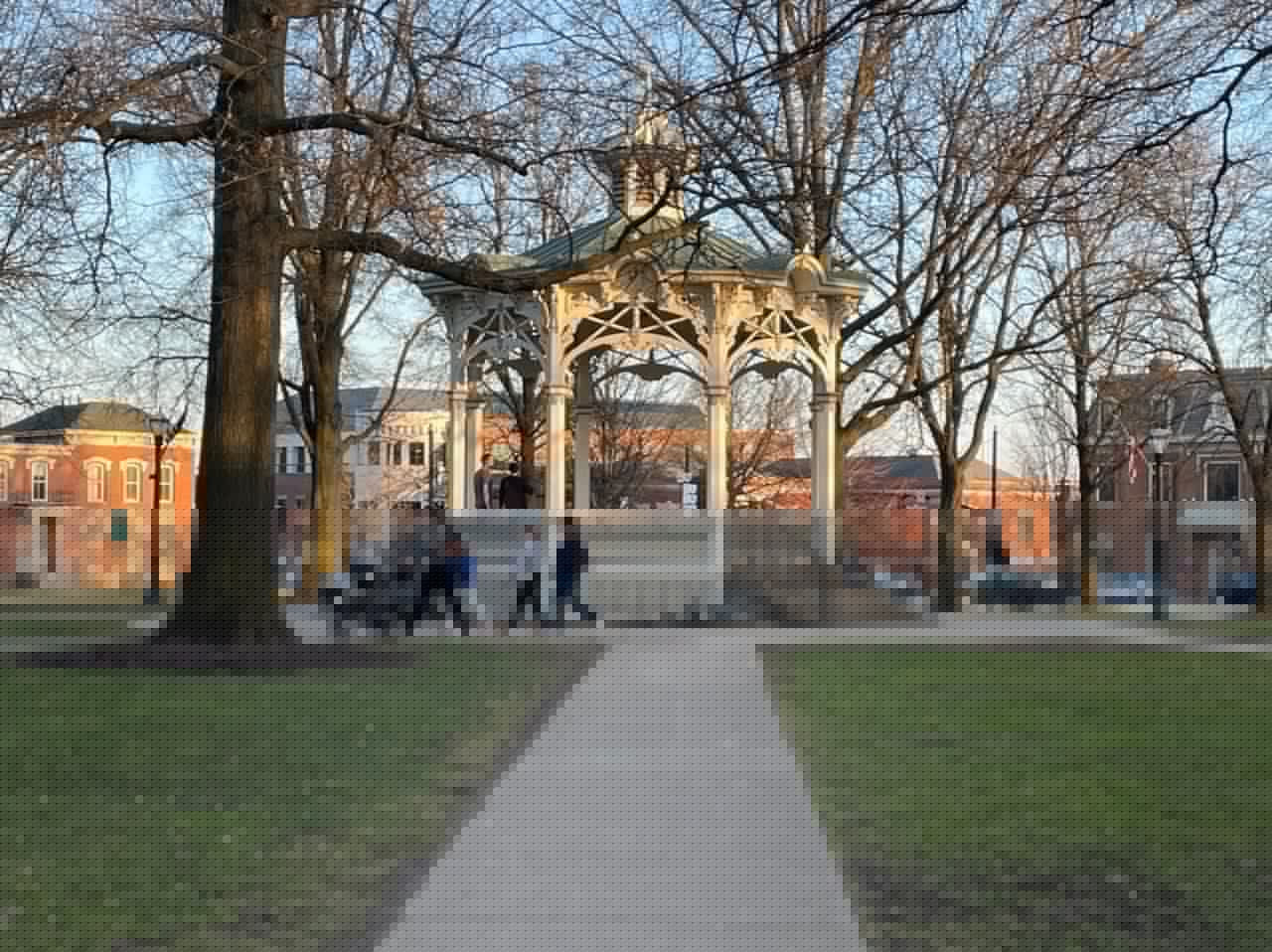 Children invited to welcome Heritage Tree as it takes root in Medina