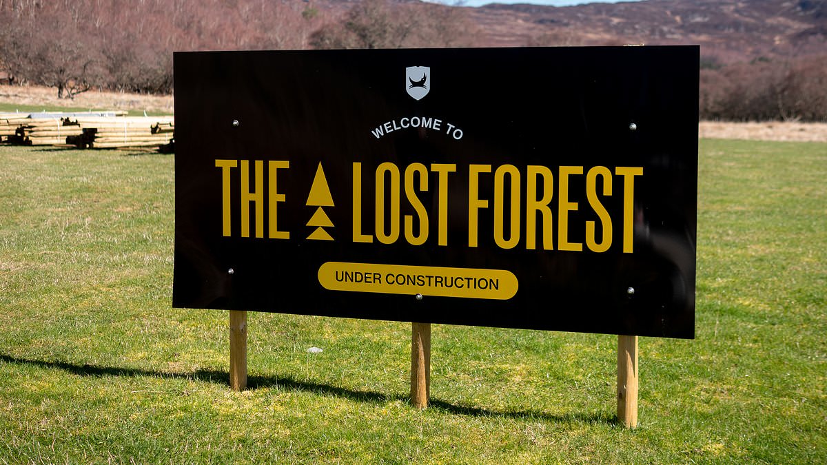 BrewDog sells 'rewilding' forest where 250,000 trees died as embattled 'punk' brewery stages fightback amid £37m loss and string of controversies