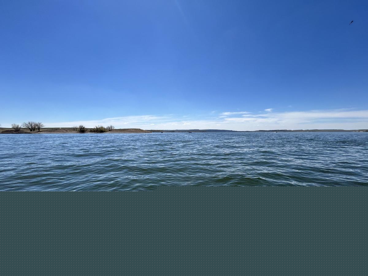 Glendo Reservoir Issues Toxin Advisory