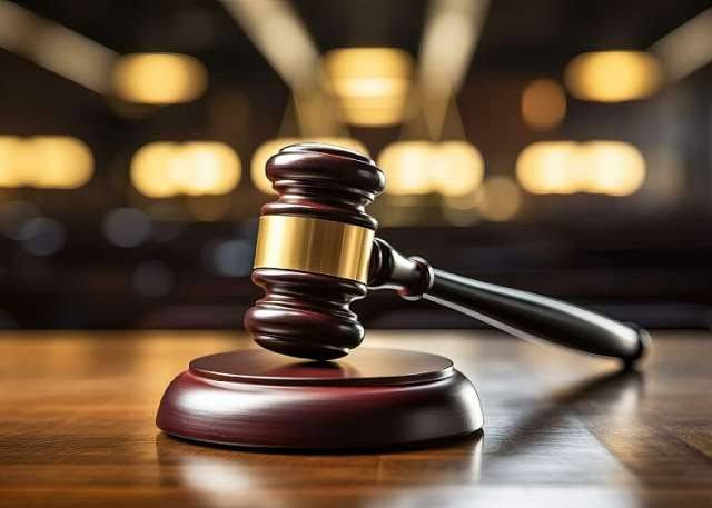 Defective charge sheet secured my client’s freedom – Sedina Tamakloe’s lawyer explains appeal victory