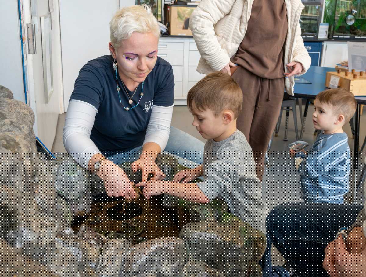 Open Hours at Environmental Education Center
