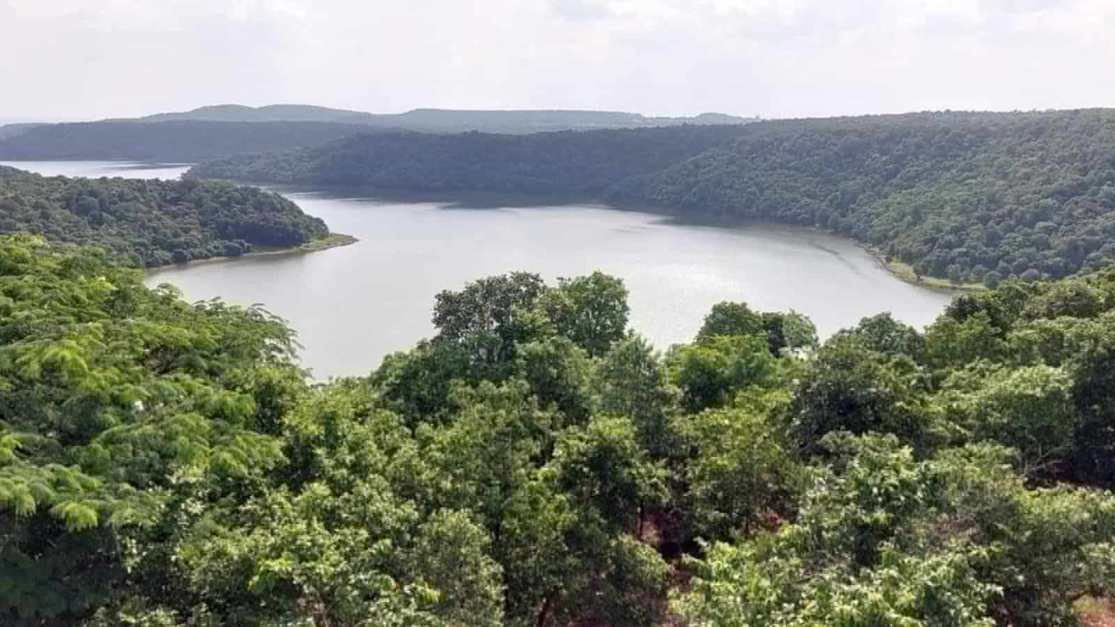 Explore this hidden wildlife sanctuary, 135 km from Hyderabad