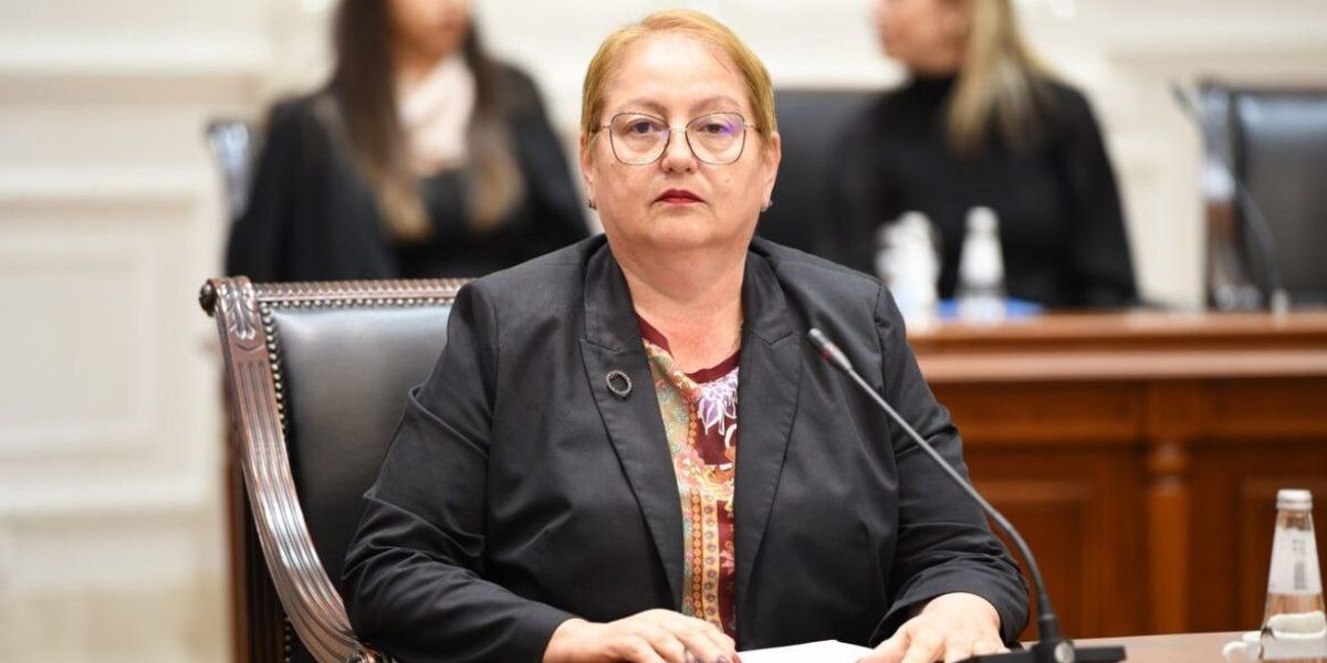 Janevska: Ligjet tona ekzistuese për arsimin e lartë kanë disa mangësi