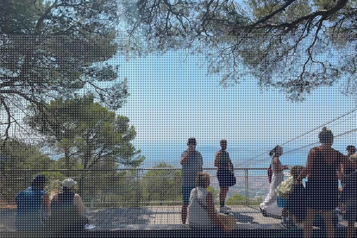 Tyrolienne, cinéma en plein air ou rien du tout… Que faire du Faron ? À mi-chemin de la consultation lancée par la Ville, nous avons sondé les touristes