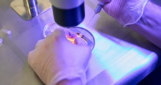 Cell therapy gives hope for rare muscular condition