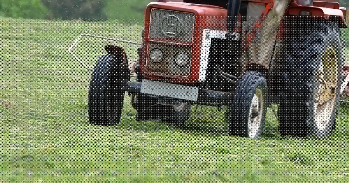 Drama im Burgenland - Senior stürzt bei Arbeiten mit Traktor in den Tod