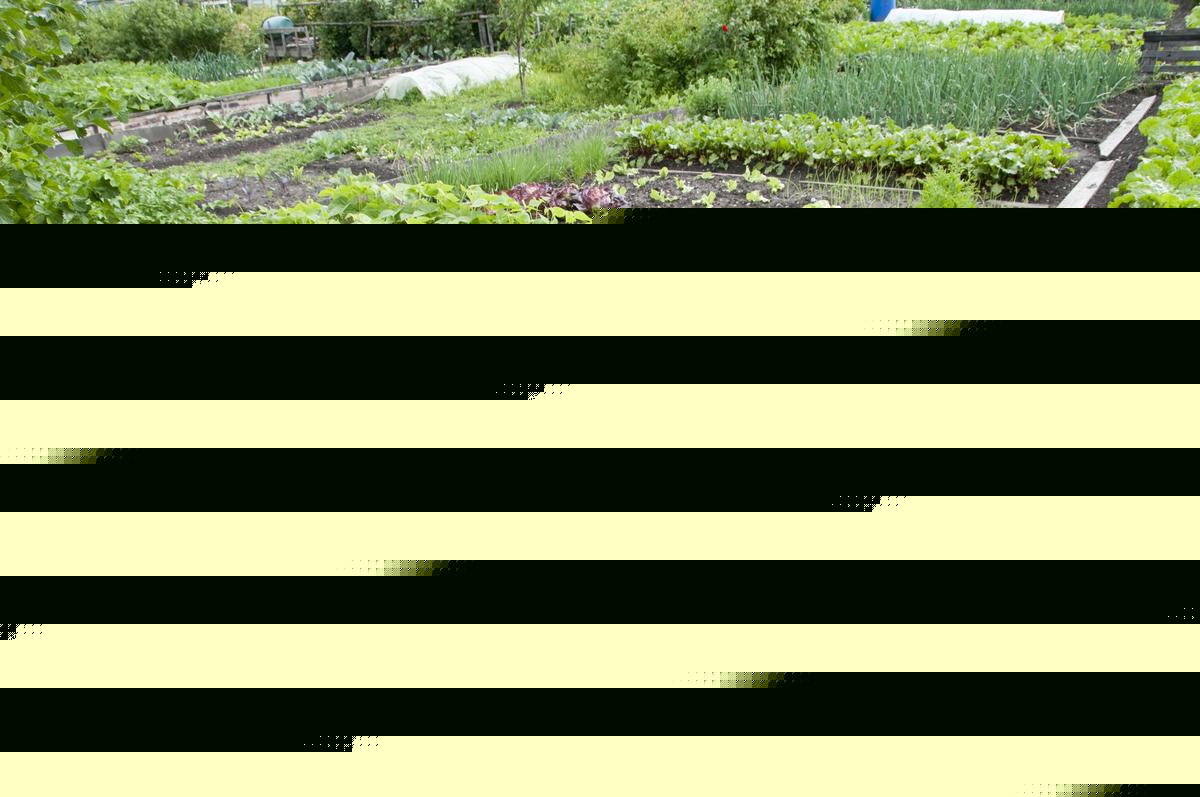 This Kentucky Jail Has Grown More Than 41,000 Pounds of Produce
