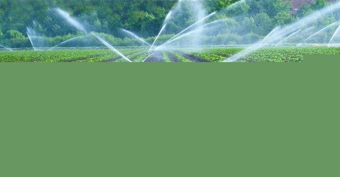 Comment on Tanzania to partner with India in irrigation schemes by 有道在线翻译