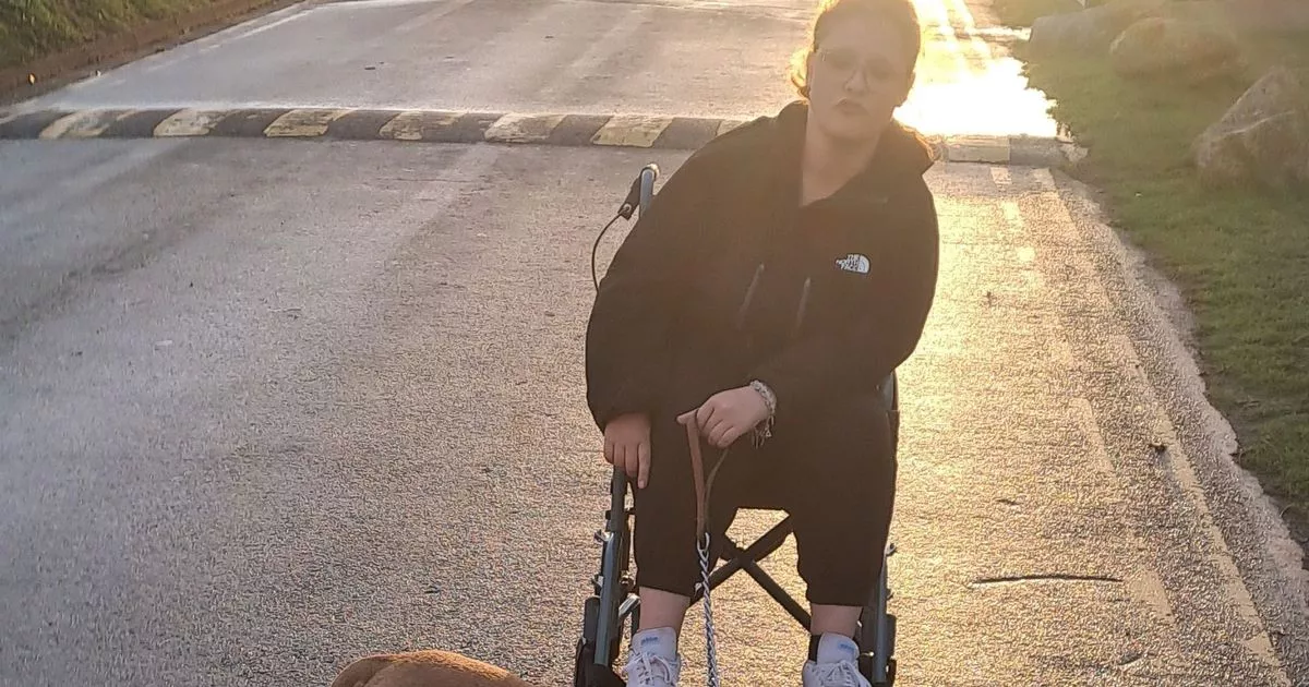 Family kicked out of Welsh caravan park because of the breed of their dog