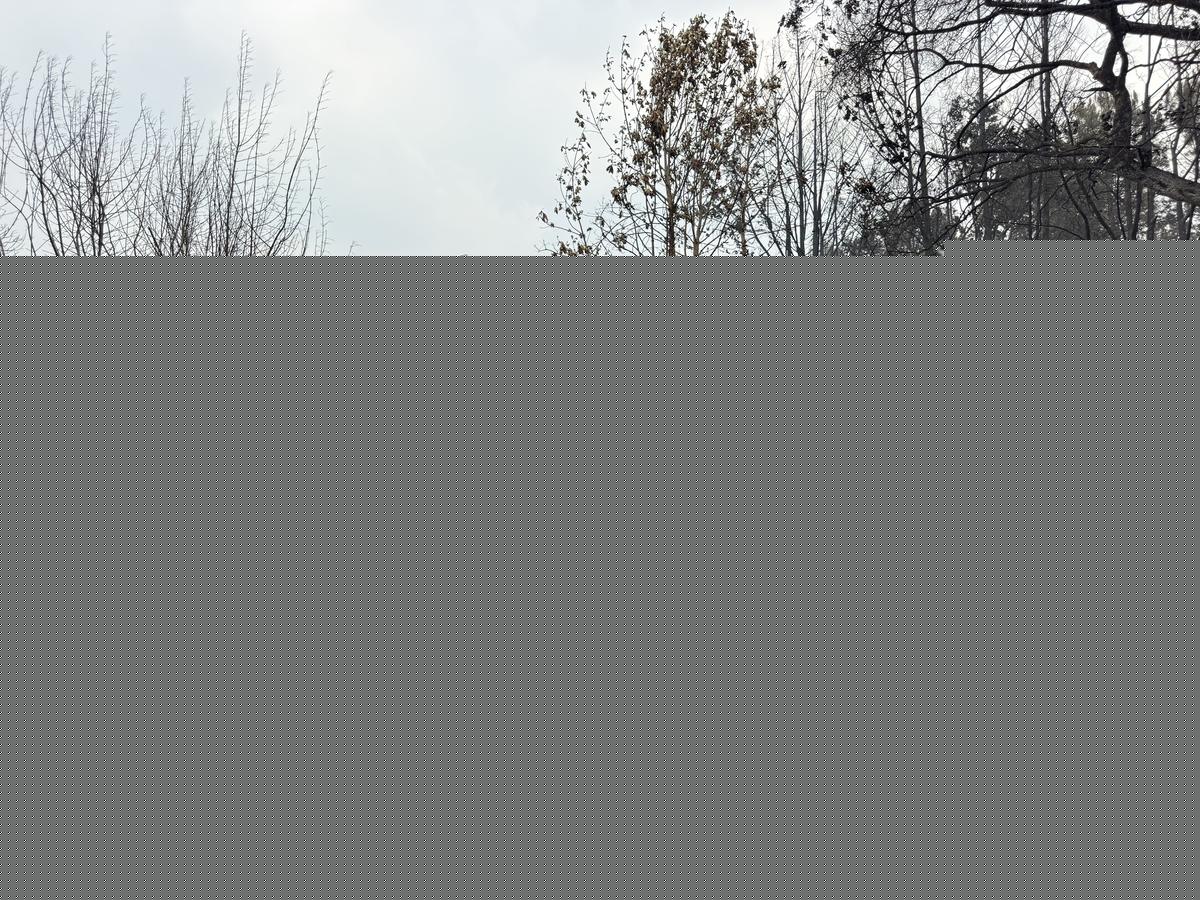 Incendie en Gironde : Le Porge « sacrifié au profit de la presqu’île du Cap Ferret » ? Décryptage d’un sentiment d’abandon persistant