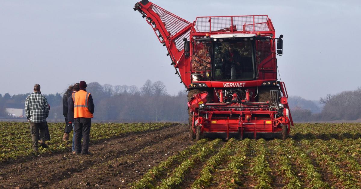 £3m worth of massive beet-eating monster machines put to the test at farm demo day