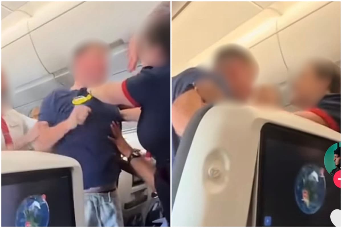 Shocking moment BA flight attendant holds back drunk passenger before he is arrested at Heathrow