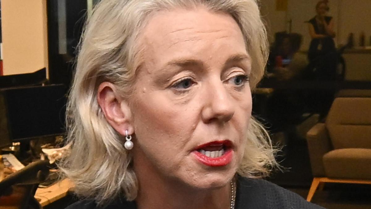 David Littleproud has support of the party room: Bridget McKenzie