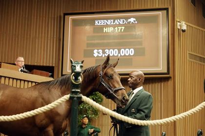 ‘Highest gross ever worldwide’: Keeneland September Yearling Sale sets records